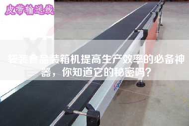 袋裝食品裝箱機提高生產(chǎn)效率的必備神器,你知道它的秘密嗎? 袋裝食品裝箱機提高生產(chǎn)效率的必備神器,你知道它的秘密嗎?