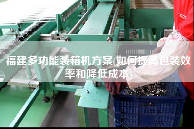 福建多功能裝箱機方案(如何提高包裝效率和降低成本) 福建多功能裝箱機方案(如何提高包裝效率和降低成本)