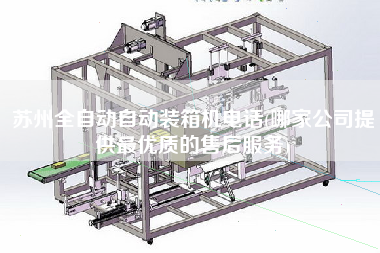 蘇州全自動(dòng)自動(dòng)裝箱機(jī)電話(哪家公司提供z優(yōu)質(zhì)的售后服務(wù)) 蘇州全自動(dòng)自動(dòng)裝箱機(jī)電話(哪家公司提供z優(yōu)質(zhì)的售后服務(wù))