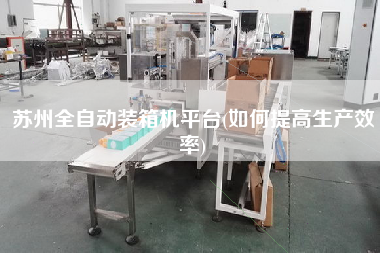 蘇州全自動(dòng)裝箱機(jī)平臺(tái)(如何提高生產(chǎn)效率) 蘇州全自動(dòng)裝箱機(jī)平臺(tái)(如何提高生產(chǎn)效率)
