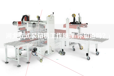 河北立式裝箱機工作原理(你知道嗎?) 河北立式裝箱機工作原理(你知道嗎?)