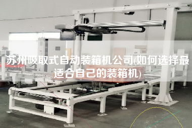 蘇州吸取式自動裝箱機公司(如何選擇z適合自己的裝箱機) 蘇州吸取式自動裝箱機公司(如何選擇z適合自己的裝箱機)