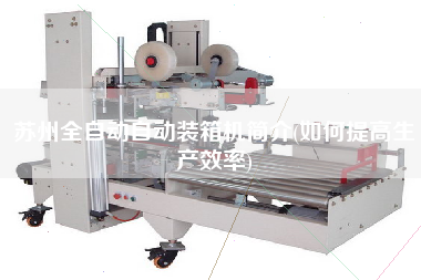 蘇州全自動自動裝箱機(jī)簡介(如何提高生產(chǎn)效率) 蘇州全自動自動裝箱機(jī)簡介(如何提高生產(chǎn)效率)