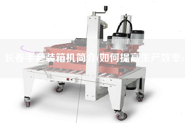 長春手套裝箱機簡介(如何提高生產(chǎn)效率) 長春手套裝箱機簡介(如何提高生產(chǎn)效率)