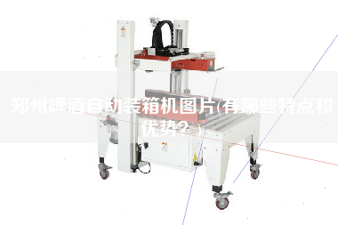鄭州啤酒自動裝箱機(jī)圖片(有哪些特點(diǎn)和優(yōu)勢?) 鄭州啤酒自動裝箱機(jī)圖片(有哪些特點(diǎn)和優(yōu)勢?)
