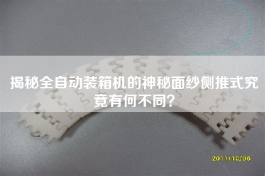 揭秘全自動(dòng)裝箱機(jī)的神秘面紗側(cè)推式究竟有何不同? 揭秘全自動(dòng)裝箱機(jī)的神秘面紗側(cè)推式究竟有何不同?