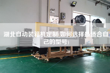 湖北自動裝箱機定制(如何選擇z適合自己的型號) 湖北自動裝箱機定制(如何選擇z適合自己的型號)