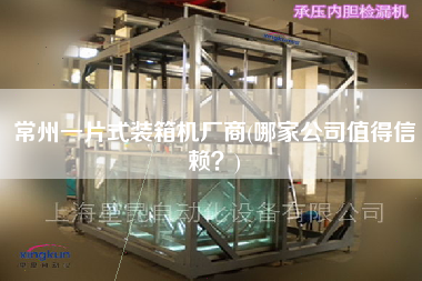 常州一片式裝箱機廠商(哪家公司值得信賴?) 常州一片式裝箱機廠商(哪家公司值得信賴?)