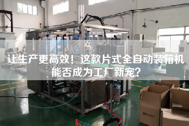 讓生產(chǎn)z高效!這款片式全自動(dòng)裝箱機(jī)能否成為工廠新寵? 讓生產(chǎn)z高效!這款片式全自動(dòng)裝箱機(jī)能否成為工廠新寵?