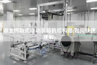湖北抓取式自動裝箱機(jī)結(jié)構(gòu)圖(如何快速理解) 湖北抓取式自動裝箱機(jī)結(jié)構(gòu)圖(如何快速理解)