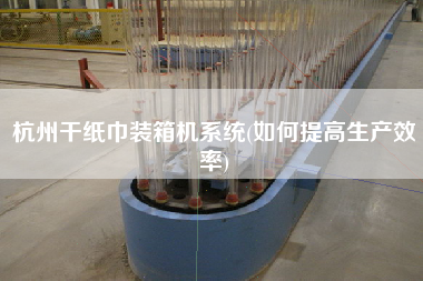 杭州干紙巾裝箱機(jī)系統(tǒng)(如何提高生產(chǎn)效率) 杭州干紙巾裝箱機(jī)系統(tǒng)(如何提高生產(chǎn)效率)