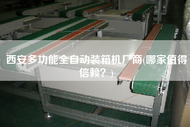 西安多功能全自動(dòng)裝箱機(jī)廠商(哪家值得信賴(lài)?) 西安多功能全自動(dòng)裝箱機(jī)廠商(哪家值得信賴(lài)?)