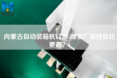 內(nèi)蒙古自動裝箱機訂做(哪家廠家性價比z高?) 內(nèi)蒙古自動裝箱機訂做(哪家廠家性價比z高?)