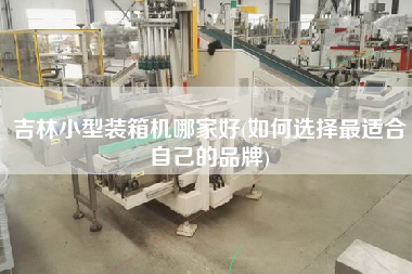 吉林小型裝箱機(jī)哪家好(如何選擇z適合自己的品牌) 吉林小型裝箱機(jī)哪家好(如何選擇z適合自己的品牌)