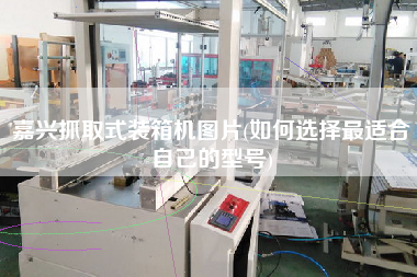 嘉興抓取式裝箱機(jī)圖片(如何選擇z適合自己的型號) 嘉興抓取式裝箱機(jī)圖片(如何選擇z適合自己的型號)