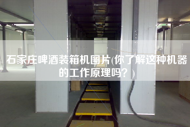 石家莊啤酒裝箱機圖片(你了解這種機器的工作原理嗎?) 石家莊啤酒裝箱機圖片(你了解這種機器的工作原理嗎?)