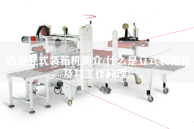 西安立式裝箱機(jī)簡介(什么是立式裝箱機(jī)及其工作原理)。 西安立式裝箱機(jī)簡介(什么是立式裝箱機(jī)及其工作原理)。