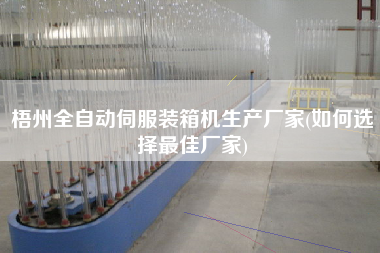 梧州全自動伺服裝箱機生產(chǎn)廠家(如何選擇z佳廠家) 梧州全自動伺服裝箱機生產(chǎn)廠家(如何選擇z佳廠家)