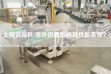 上海裝箱機(jī)(哪些因素影響其性能表現(xiàn)?) 上海裝箱機(jī)(哪些因素影響其性能表現(xiàn)?)