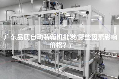 廣東品質(zhì)自動裝箱機(jī)批發(fā)(哪些因素影響價(jià)格?) 廣東品質(zhì)自動裝箱機(jī)批發(fā)(哪些因素影響價(jià)格?)