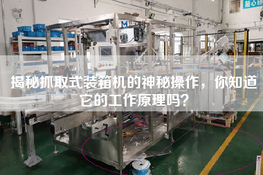 揭秘抓取式裝箱機(jī)的神秘操作,你知道它的工作原理嗎? 揭秘抓取式裝箱機(jī)的神秘操作,你知道它的工作原理嗎?