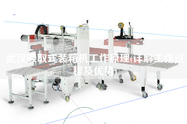 武漢吸取式裝箱機工作原理(詳解工作過程及優(yōu)勢) 武漢吸取式裝箱機工作原理(詳解工作過程及優(yōu)勢)