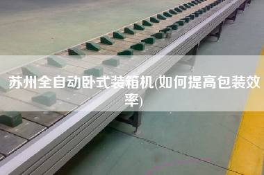 蘇州全自動臥式裝箱機(jī)(如何提高包裝效率) 蘇州全自動臥式裝箱機(jī)(如何提高包裝效率)