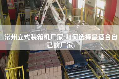 常州立式裝箱機廠家(如何選擇z適合自己的廠家) 常州立式裝箱機廠家(如何選擇z適合自己的廠家)