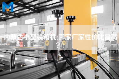 內(nèi)蒙古小型裝箱機(jī)(哪家廠家性價(jià)比z高?) 內(nèi)蒙古小型裝箱機(jī)(哪家廠家性價(jià)比z高?)