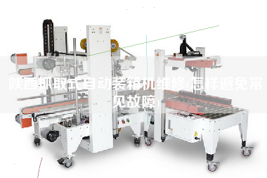 陜西抓取式自動(dòng)裝箱機(jī)維修(怎樣避免常見故障) 陜西抓取式自動(dòng)裝箱機(jī)維修(怎樣避免常見故障)