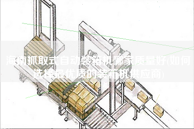 海南抓取式自動(dòng)裝箱機(jī)哪家質(zhì)量好(如何選擇z優(yōu)質(zhì)的裝箱機(jī)供應(yīng)商) 海南抓取式自動(dòng)裝箱機(jī)哪家質(zhì)量好(如何選擇z優(yōu)質(zhì)的裝箱機(jī)供應(yīng)商)