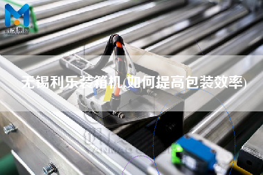 無錫利樂裝箱機(如何提高包裝效率) 無錫利樂裝箱機(如何提高包裝效率)