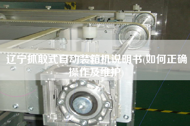 遼寧抓取式自動(dòng)裝箱機(jī)說明書(如何正確操作及維護(hù)) 遼寧抓取式自動(dòng)裝箱機(jī)說明書(如何正確操作及維護(hù))