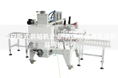 西安臥式裝箱機企業(yè)(有哪些值得關(guān)注的品牌推薦)? 西安臥式裝箱機企業(yè)(有哪些值得關(guān)注的品牌推薦)?