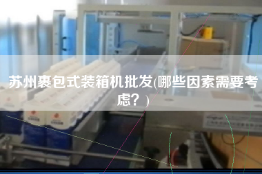 蘇州裹包式裝箱機批發(fā)(哪些因素需要考慮?) 蘇州裹包式裝箱機批發(fā)(哪些因素需要考慮?)