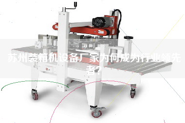 蘇州裝箱機(jī)設(shè)備廠家為何成為行業(yè)**者? 蘇州裝箱機(jī)設(shè)備廠家為何成為行業(yè)**者?