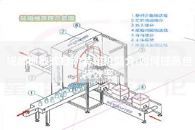 成都抓取式自動裝箱機簡介(如何提高包裝效率) 成都抓取式自動裝箱機簡介(如何提高包裝效率)