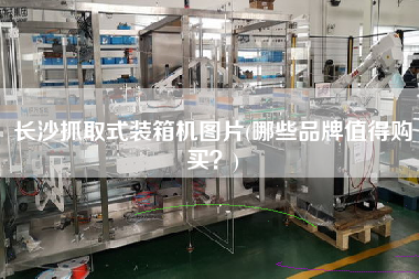 長(zhǎng)沙抓取式裝箱機(jī)圖片(哪些品牌值得購(gòu)買?) 長(zhǎng)沙抓取式裝箱機(jī)圖片(哪些品牌值得購(gòu)買?)