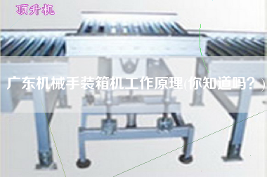 廣東機械手裝箱機工作原理(你知道嗎?) 廣東機械手裝箱機工作原理(你知道嗎?)