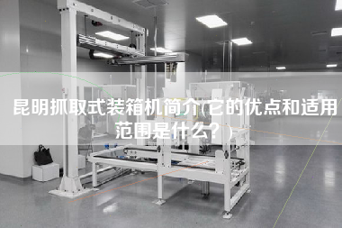 昆明抓取式裝箱機(jī)簡(jiǎn)介(它的優(yōu)點(diǎn)和適用范圍是什么?) 昆明抓取式裝箱機(jī)簡(jiǎn)介(它的優(yōu)點(diǎn)和適用范圍是什么?)