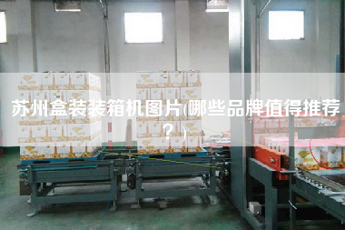 蘇州盒裝裝箱機(jī)圖片(哪些品牌值得推薦?) 蘇州盒裝裝箱機(jī)圖片(哪些品牌值得推薦?)