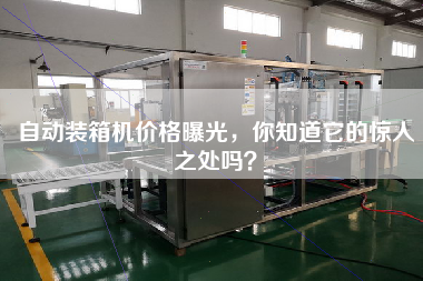 自動(dòng)裝箱機(jī)價(jià)格曝光,你知道它的驚人之處嗎? 自動(dòng)裝箱機(jī)價(jià)格曝光,你知道它的驚人之處嗎?