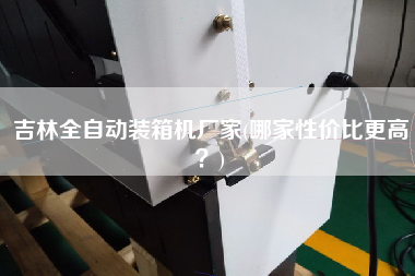 吉林全自動裝箱機廠家(哪家性價比z高?) 吉林全自動裝箱機廠家(哪家性價比z高?)
