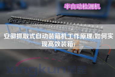 安徽抓取式自動(dòng)裝箱機(jī)工作原理(如何實(shí)現(xiàn)高效裝箱) 安徽抓取式自動(dòng)裝箱機(jī)工作原理(如何實(shí)現(xiàn)高效裝箱)