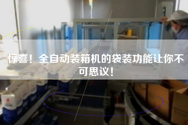 驚喜!全自動裝箱機的袋裝功能讓你不可思議! 驚喜!全自動裝箱機的袋裝功能讓你不可思議!