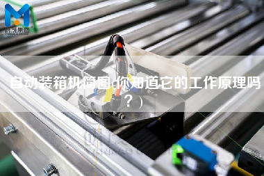 自動(dòng)裝箱機(jī)簡(jiǎn)圖(你知道它的工作原理嗎?) 自動(dòng)裝箱機(jī)簡(jiǎn)圖(你知道它的工作原理嗎?)