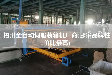 梧州全自動(dòng)伺服裝箱機(jī)廠商(哪家品牌性價(jià)比z高) 梧州全自動(dòng)伺服裝箱機(jī)廠商(哪家品牌性價(jià)比z高)