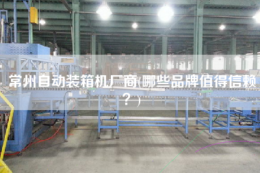 常州自動裝箱機(jī)廠商(哪些品牌值得信賴?) 常州自動裝箱機(jī)廠商(哪些品牌值得信賴?)