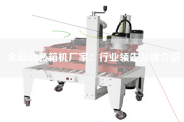全自動(dòng)裝箱機(jī)廠家:行業(yè)**品牌介紹 全自動(dòng)裝箱機(jī)廠家:行業(yè)**品牌介紹