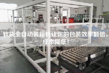 軟袋全自動裝箱機讓你的包裝效率翻倍,成本降低! 軟袋全自動裝箱機讓你的包裝效率翻倍,成本降低!